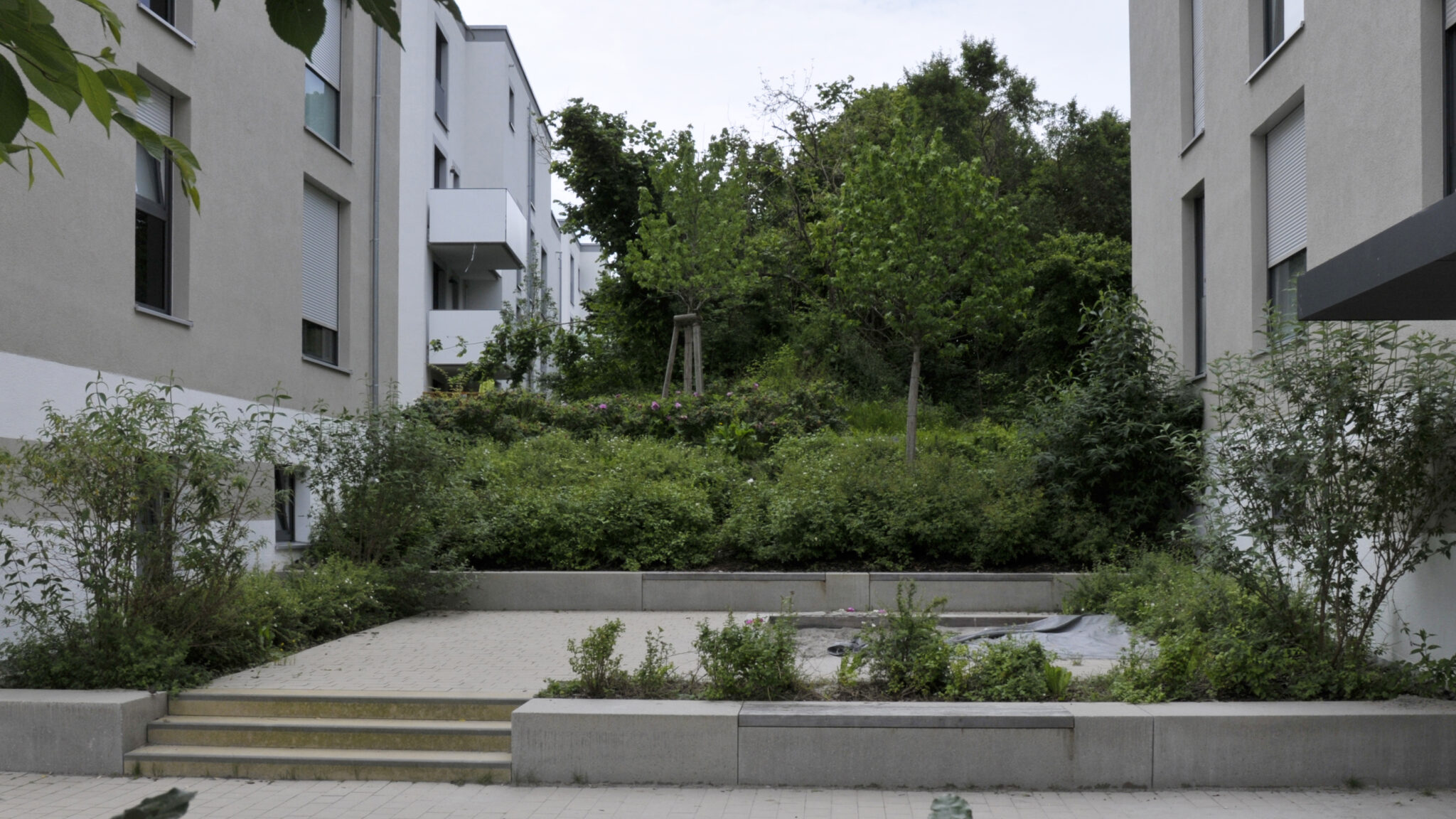 Wohnungsbau Rottenburg